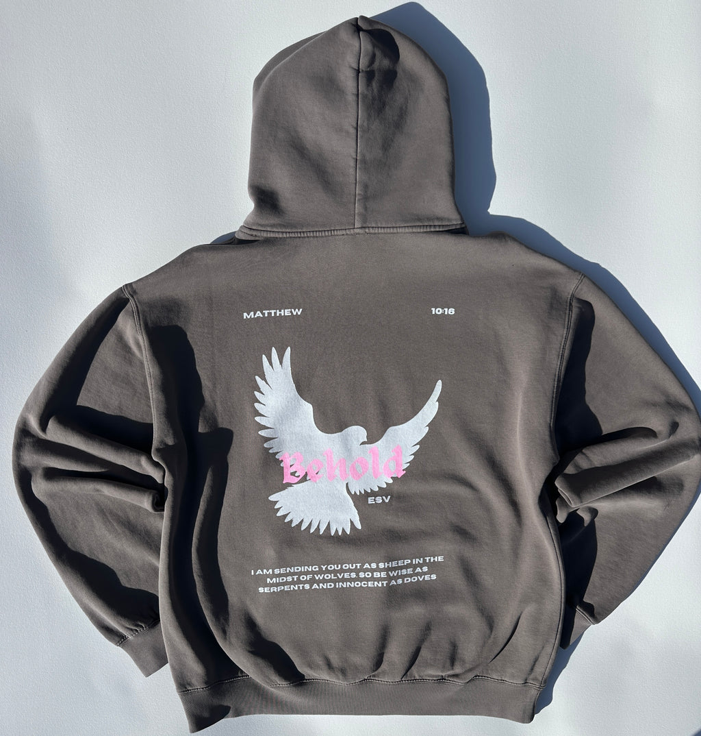 Behold Hoodie